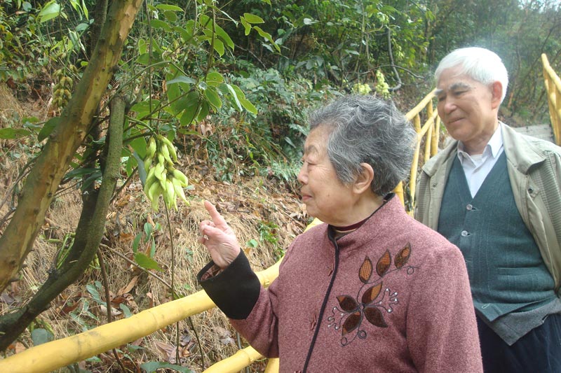 广州友好老年公寓 后山漫步