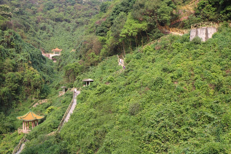 广州友好老年公寓 登山道